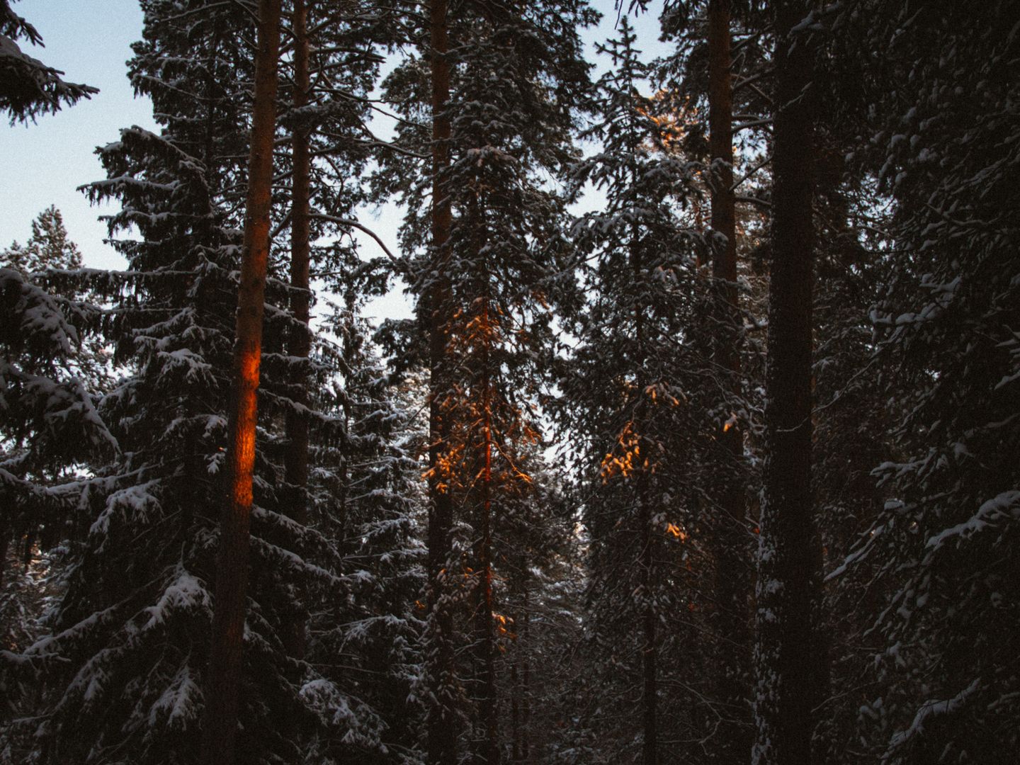 Выдержка и задачи